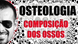 Sistema Esquelético  Composição dos Ossos  Osteologia  Anatomia Humana  VídeoAula 005 [upl. by Rooney628]