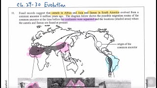 2015 DSE Biology 生物 Paper 1B Q10 Level 4考生都一定要識的題目！Evolution 進化 [upl. by Amol]