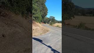 Summer cycling in Northern California is the best 6 cycling cyclinglife roadcycling [upl. by Rawdan]