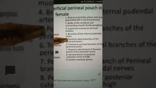 Perineal Pouches  Pelvic perineum Anatomy [upl. by Cathey]