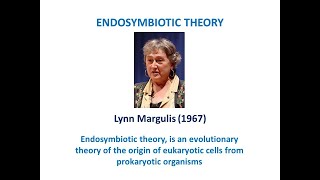 ENDOSYMBIOTIC THEORY [upl. by Johann]