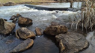 Campaspe river rapids at Barnadown australia river rapid water waterfall birds [upl. by Icyak71]