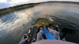 Fishing at Cressbrook Dam  October 2024 [upl. by Adnerak]