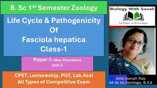 Life Cycle amp Pathogenicity Of Fasciola hepatica  BSc 1st Sem  liverflukes biologywithsonali [upl. by Lashonda388]