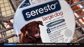 Report links Seresto fleaandtick collar to 2500 pet deaths [upl. by Ellierim823]