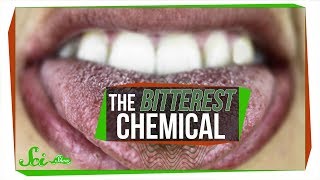 Whats the Most Bitter Chemical [upl. by Acisse]