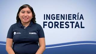 Ingeniería Forestal [upl. by Africa]