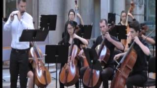 Vivaldi  Concerto pour Piccolo et orchestre Do majeur RV 443  Largo [upl. by Ardnwahsal]