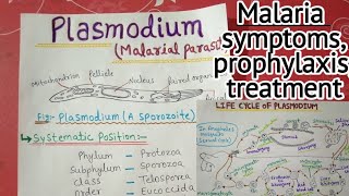 plasmodium vivax full notes  2 [upl. by Dixil]