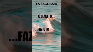 La saggezza O hábito [upl. by Melc82]