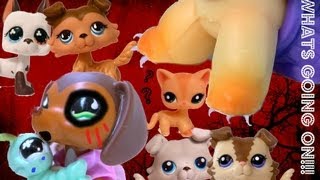 My Reactions to Littlest Pet Shop Popular Episode 23 [upl. by Alam]