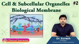 2 Cell amp Subcellular Organelles  BIOLOGICAL MEMBRANE [upl. by Hgielrahc377]