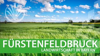 Landwirtschaft in Bayern Landkreis Fürstenfeldbruck in Oberbayern [upl. by Ylrbmik169]