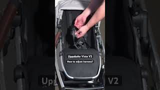 Uppababy Vista V2 Adjusting the Harness [upl. by Kirred250]