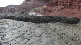 Amazing Flash Flood  Debris Flow Southern Utah HD [upl. by Revilo]