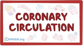 Coronary circulation  an Osmosis Preview [upl. by Khanna711]