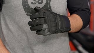 Alpinestars Polar GTX Gloves Review at RevZillacom [upl. by Aititel]