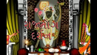 Shrinathji NI Zakhi રાજભોગ દર્શન [upl. by Eicul]