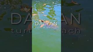 Dalyan Turkey [upl. by Pancho]