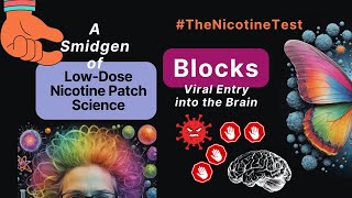 Lowdose Nicotine Patch  Nicotine Protects the brain agains SARSCoV2 Smidge of Science part 3 [upl. by Silra]