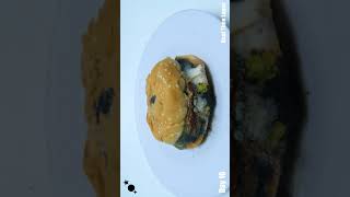 Rotting Hamburger Time Lapse 20 Days in 1 Minute [upl. by Lev]