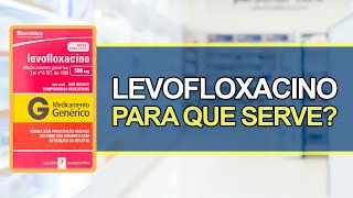 LEVOFLOXACINO Para que serve e Dúvidas Respondidas  Bula Simples [upl. by Enneyehc465]