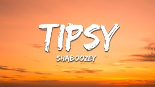 Shaboozey  A Bar Song Tipsy Lyrics [upl. by Imat]