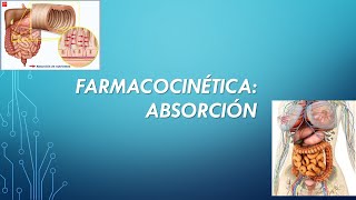 ABSORCION FARMACOCINÉTICA [upl. by Bandler]