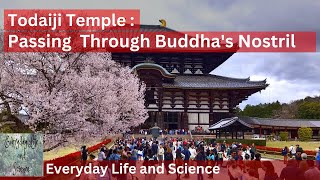 Todaiji Temple Passing Through Buddhas Nostril [upl. by Terle]