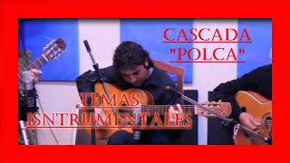 CASCADA POLKA PARAGUAYA TEMAS INSTRUMENTALES [upl. by Ecilayram]