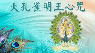 大孔雀明王心咒 Mahamayuri Mantra [upl. by Hcirdeirf]