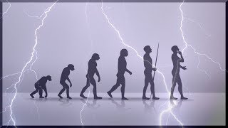 The Evolution Of Humans  Science Full Documentary [upl. by Hoopes]