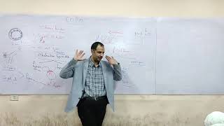 Clinical Chest  Lec 6 COPD  Dr Mahmoud Allam [upl. by Vidovic138]