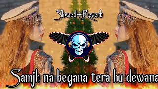 Samjh na begana tera hu deewanaslowed reverb😔🥀🎧 [upl. by Aibat]