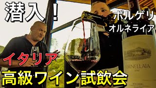 【オルネライア🍷】イタリア 高級ワイン産地 ボルゲリの試飲会に潜入リポート〜Italy Ornellaia 2014 Tasting In Bolgheri〜 [upl. by Naoma880]