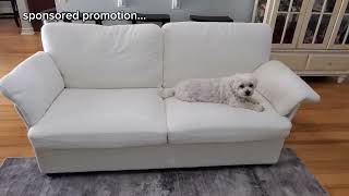 Onbrill Loveseat Sofa Review [upl. by Jaf]