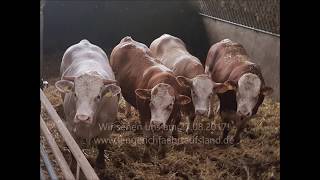 Lengerich fährt aufs Land  Hof Knippenberg [upl. by Lleksah291]