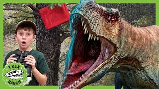 Dinosaur TRex Chase with Park Ranger Jack TRex Ranch Dinosaur Videos [upl. by Yznel]