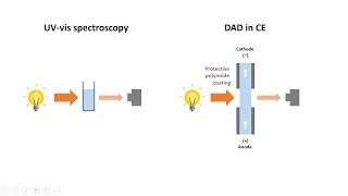 Capillary Electrophoresis Part 5 Detection methods in CE [upl. by Helaina450]