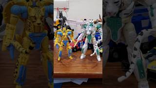 Transformers Beast Wars Kingdom Tigatron CLEARS Cheetor Transformers shorts fypシ゚viral [upl. by Lenno]