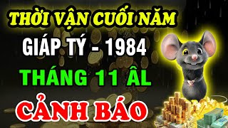 Tử Vi Tháng 11 âm lịch Tuổi Giáp Tý 1984 Hung tinh thách thức trí sáng lòng vững giữ của cải [upl. by Alam]