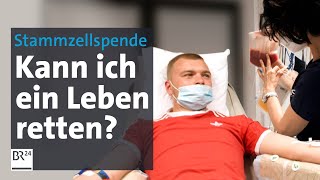 Stammzellenspenden Die Chance auf ein zweites Leben  Die Story  Kontrovers  BR24 [upl. by Aissat833]