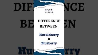 Difference Between Huckleberry and Blueberry  The Great Berry Breakdown Huckleberry vs Blueberry [upl. by Aneger]