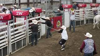 Siksika INFR Tour Rodeo Bronc Riding [upl. by Eissirhc]