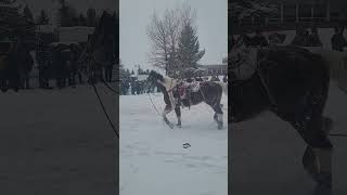 Leadville colorado skijoring horse crash [upl. by Cherida]