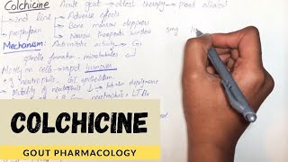 Colchicine  MechanismUsePharmacokineticAdverse effectContraindication in detailUrduHindi [upl. by Eylk]