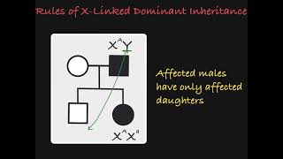 X Linked Dominant Traits in a Pedigree [upl. by Anaej]