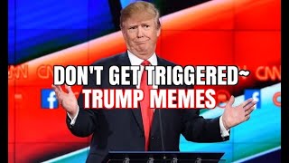 DONT GET TRIGGERED  TRUMP MEMES [upl. by Perkoff]