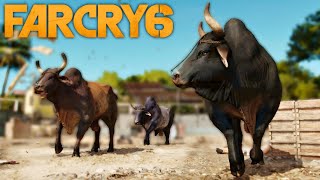 FAR CRY 6 26  O ATAQUE DOS TOUROS BRAVOS ACHADOS e PERDIDOS e A INTERVENÇÃO [upl. by Einittirb]