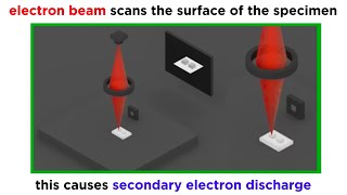 Electron Microscopy TEM and SEM [upl. by Eatnhoj]